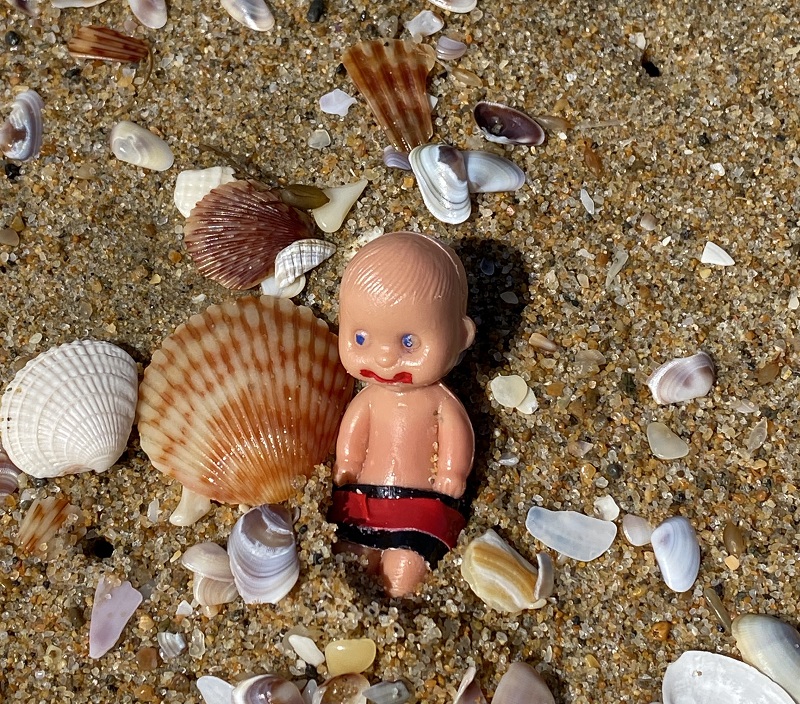 Brutus Baby and the Seashells 28